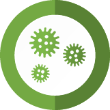 Mold Decontamination