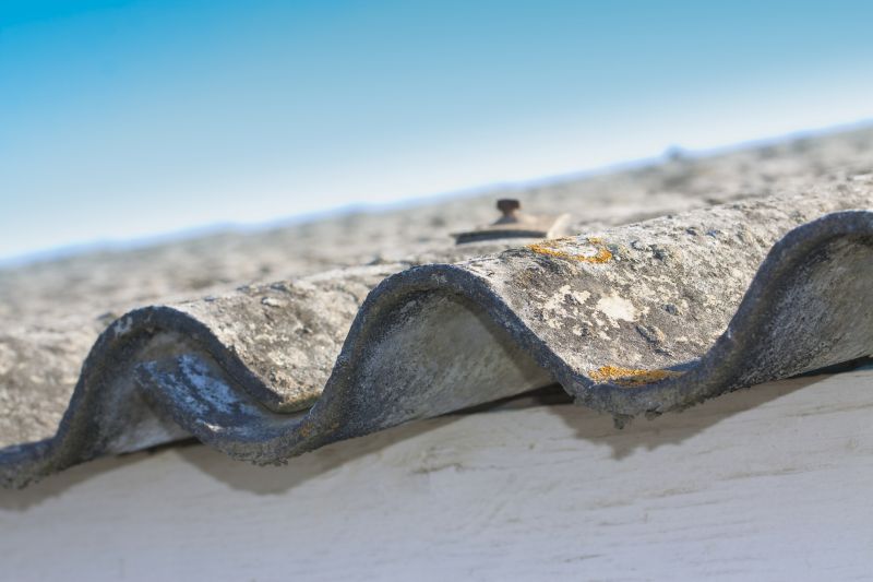 Asbestos Inspection Service in Monmouth County, NJ