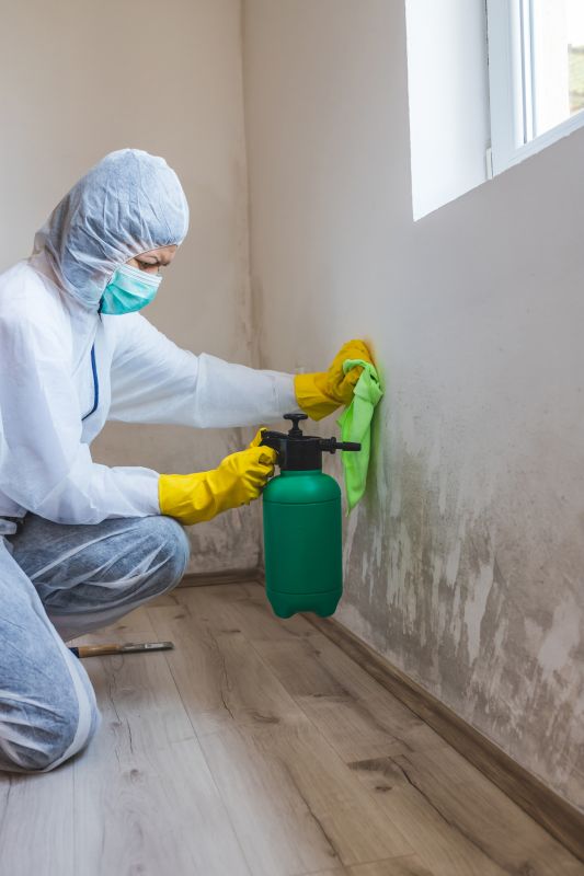 Attic Mold Remediation in Fort Lauderdale, FL