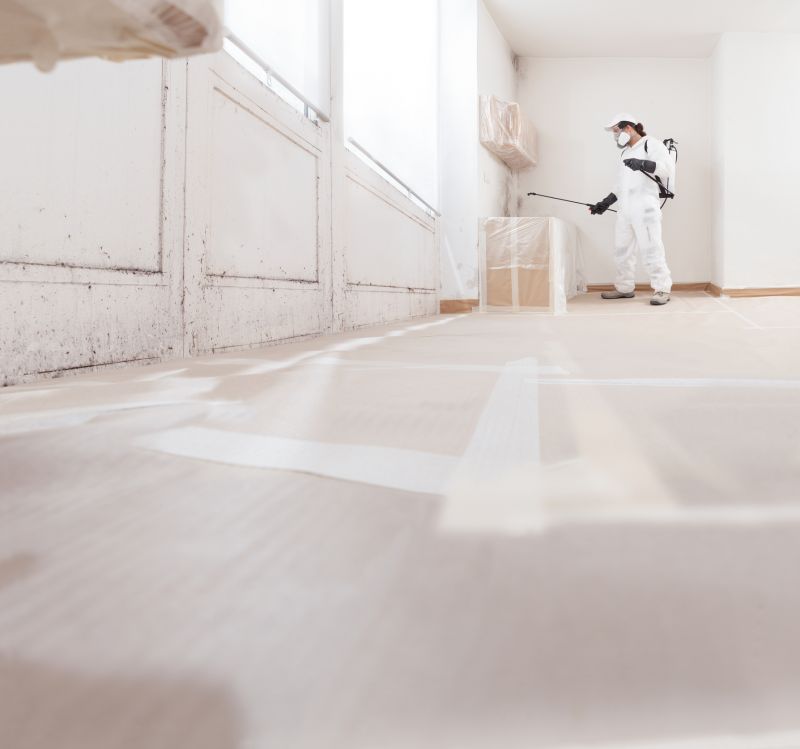 Attic Mold Removal in Fort Worth, TX