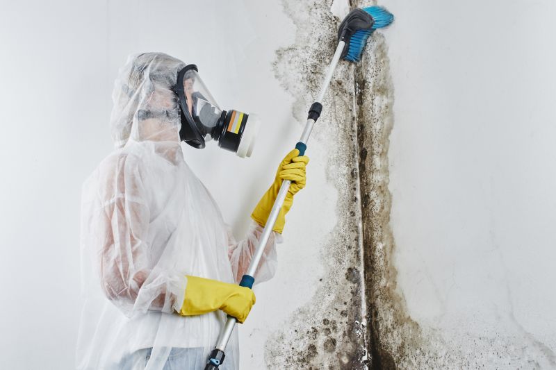 Mold Decontamination