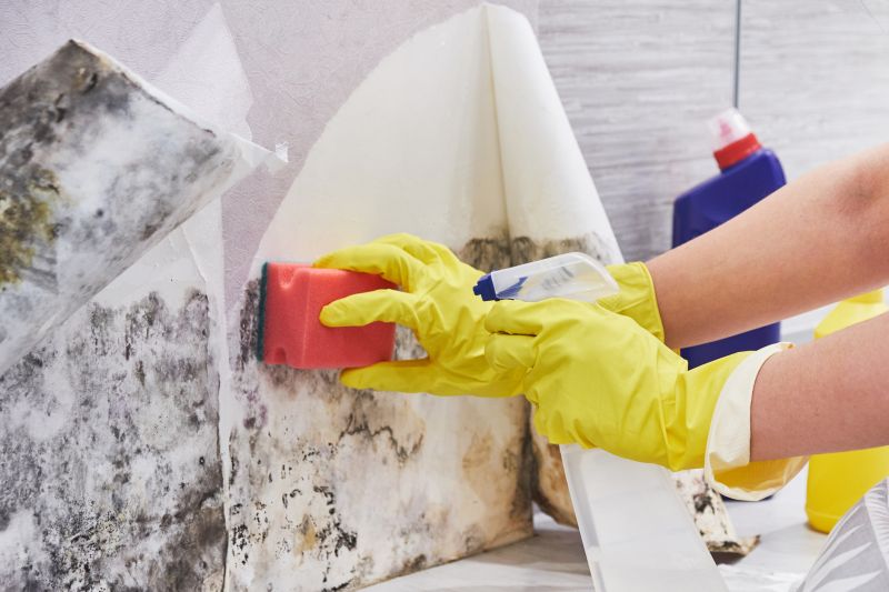 Mold Decontamination