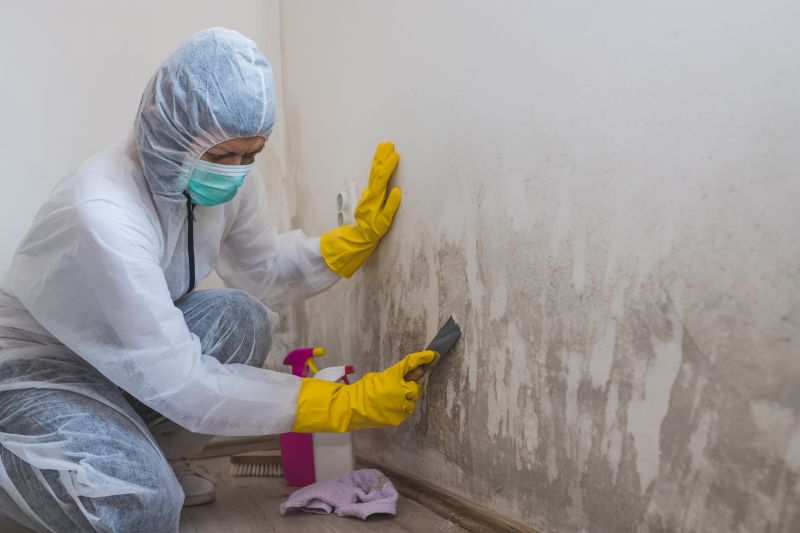 Mold Decontamination