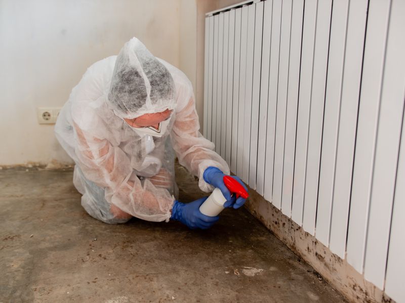 Mold Decontamination