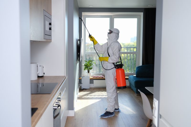 Mold Decontamination