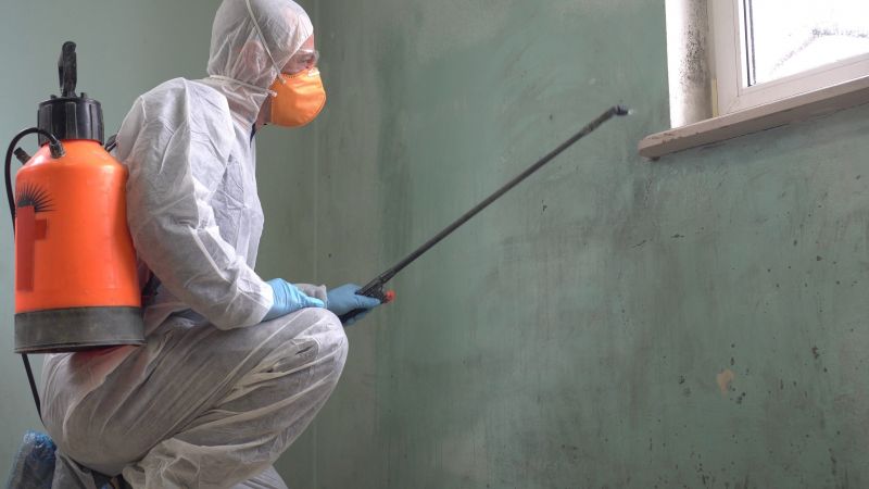 Mold Decontamination