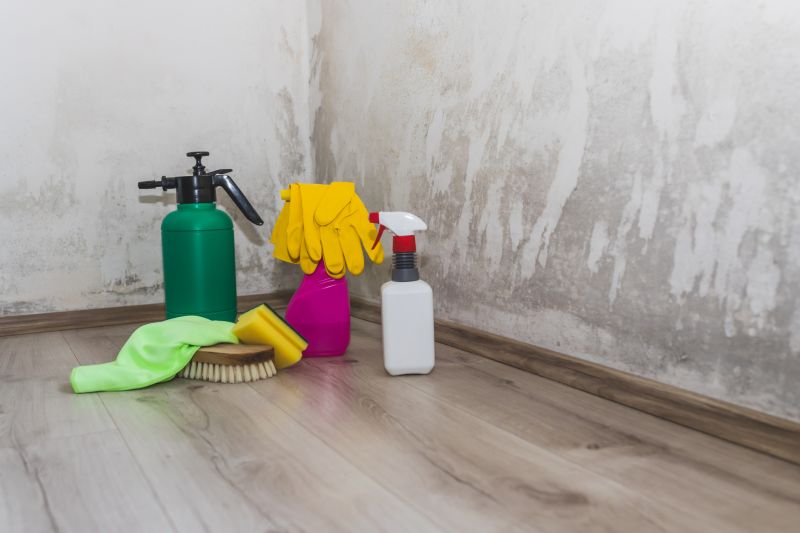Mold Decontamination