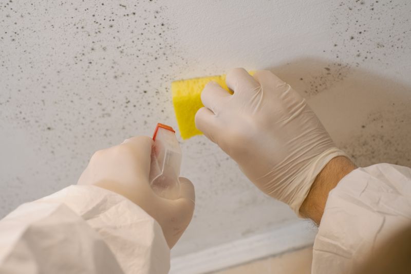 Mold Decontamination