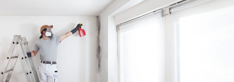 Mold Mitigation Service in Frisco, TX