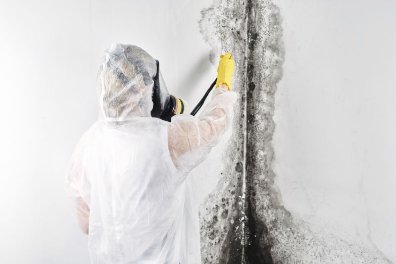 Local Mold Removal Contractors